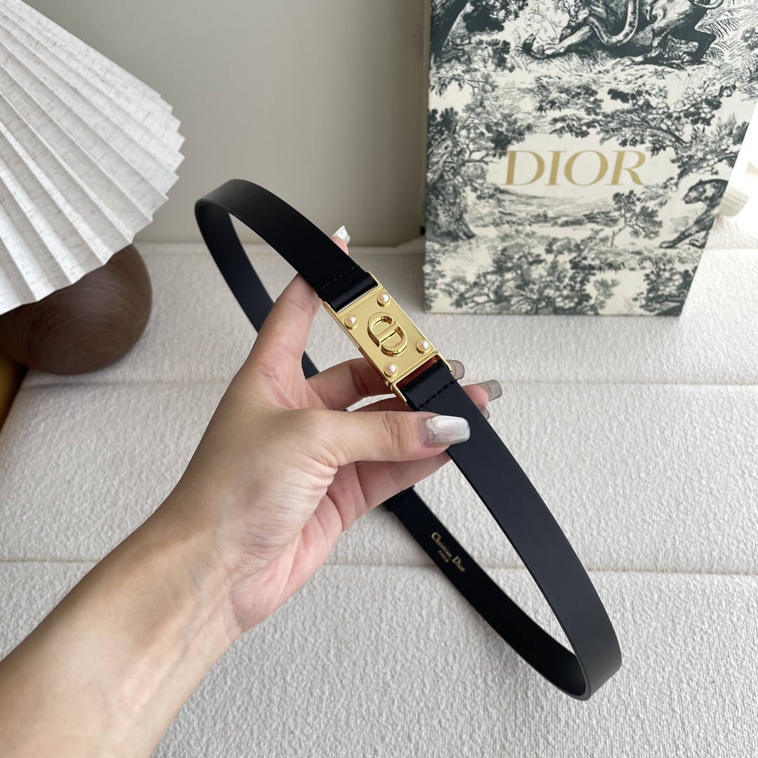 Dior belt