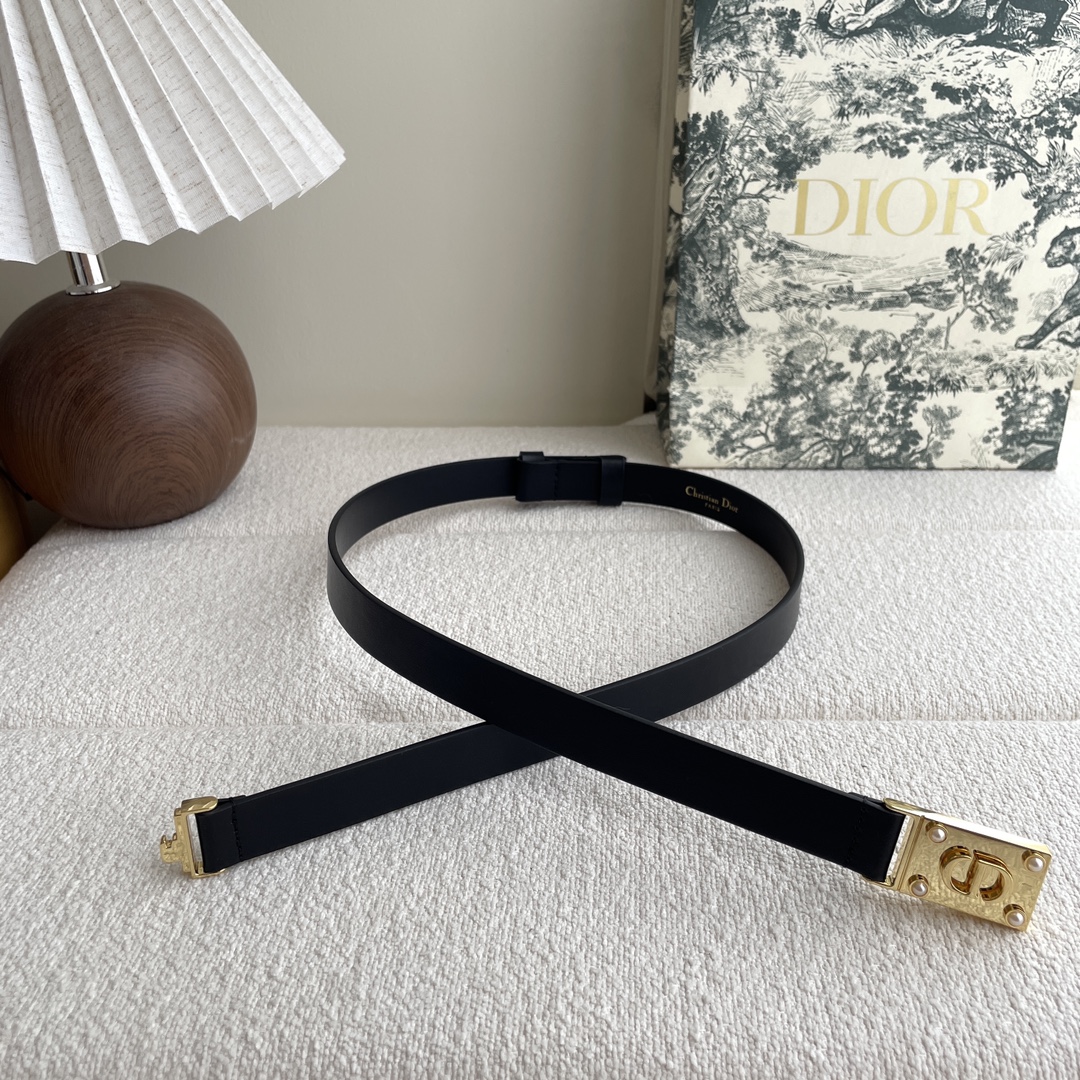 Dior belt