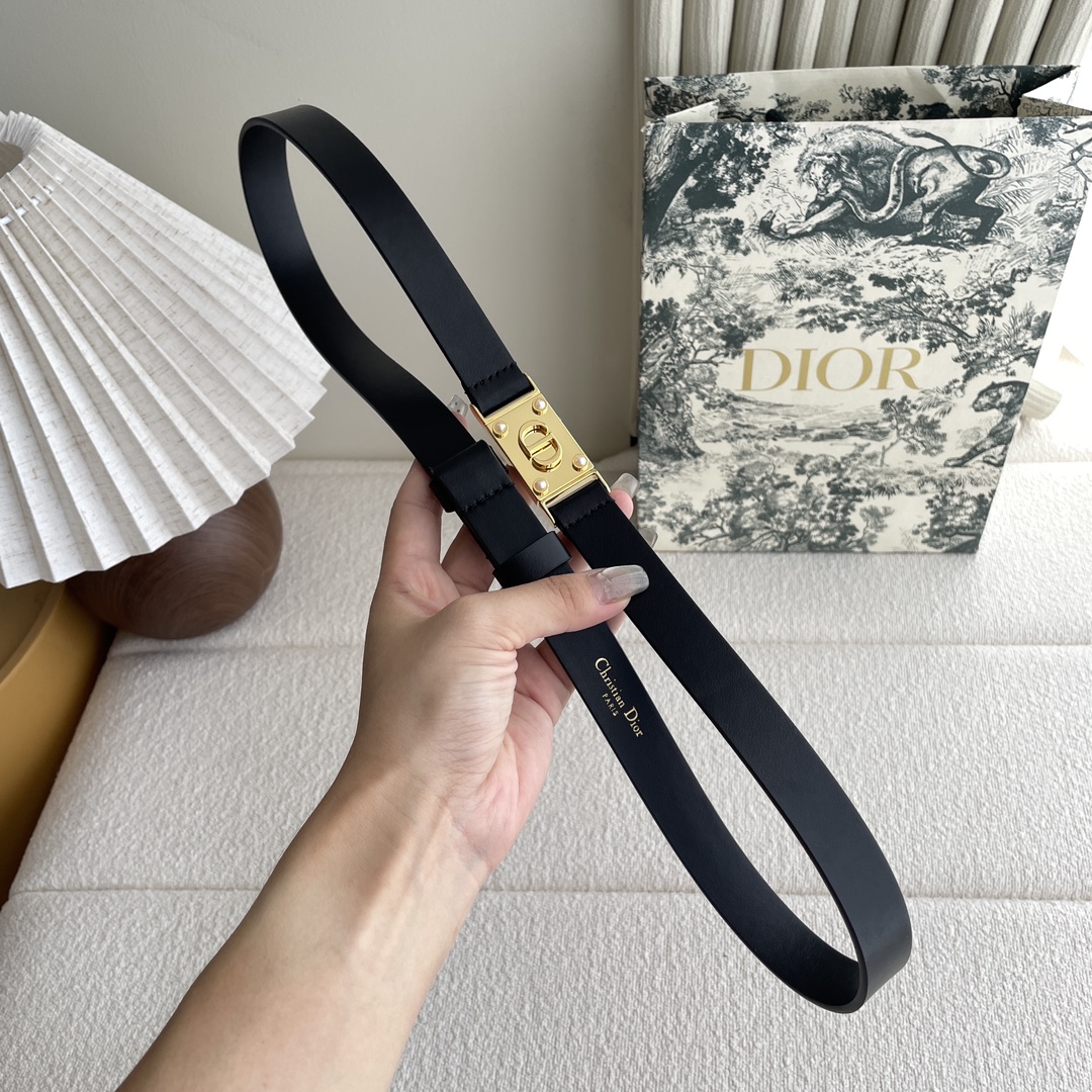 Dior belt