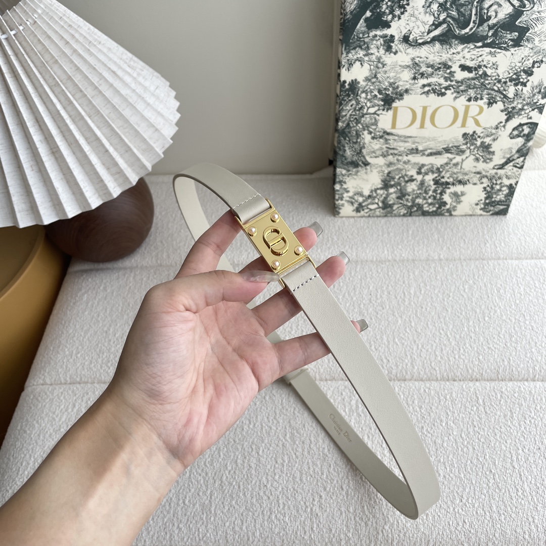 Dior belt