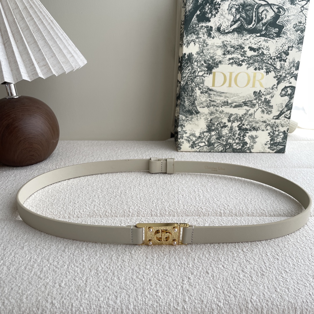 Dior belt