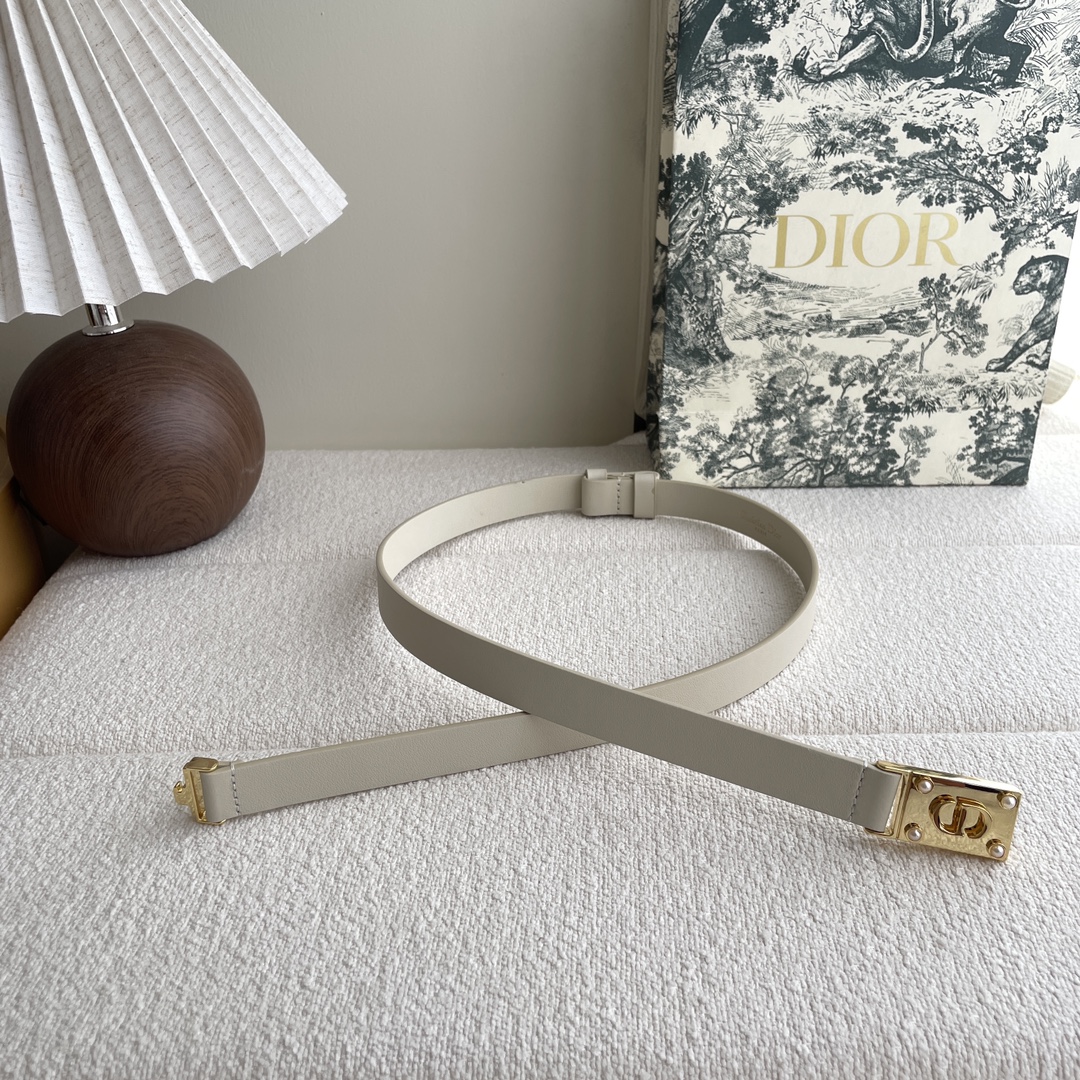 Dior belt