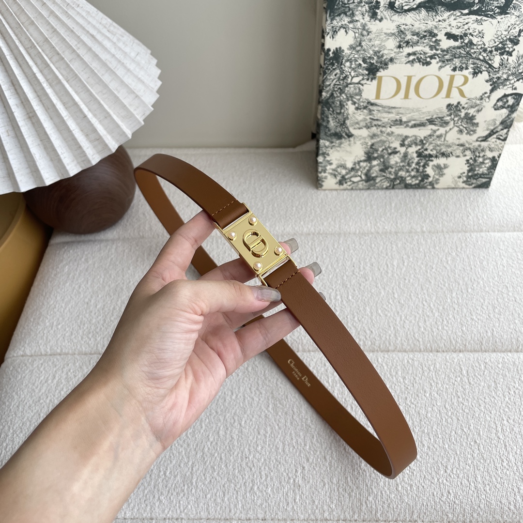 Dior belt