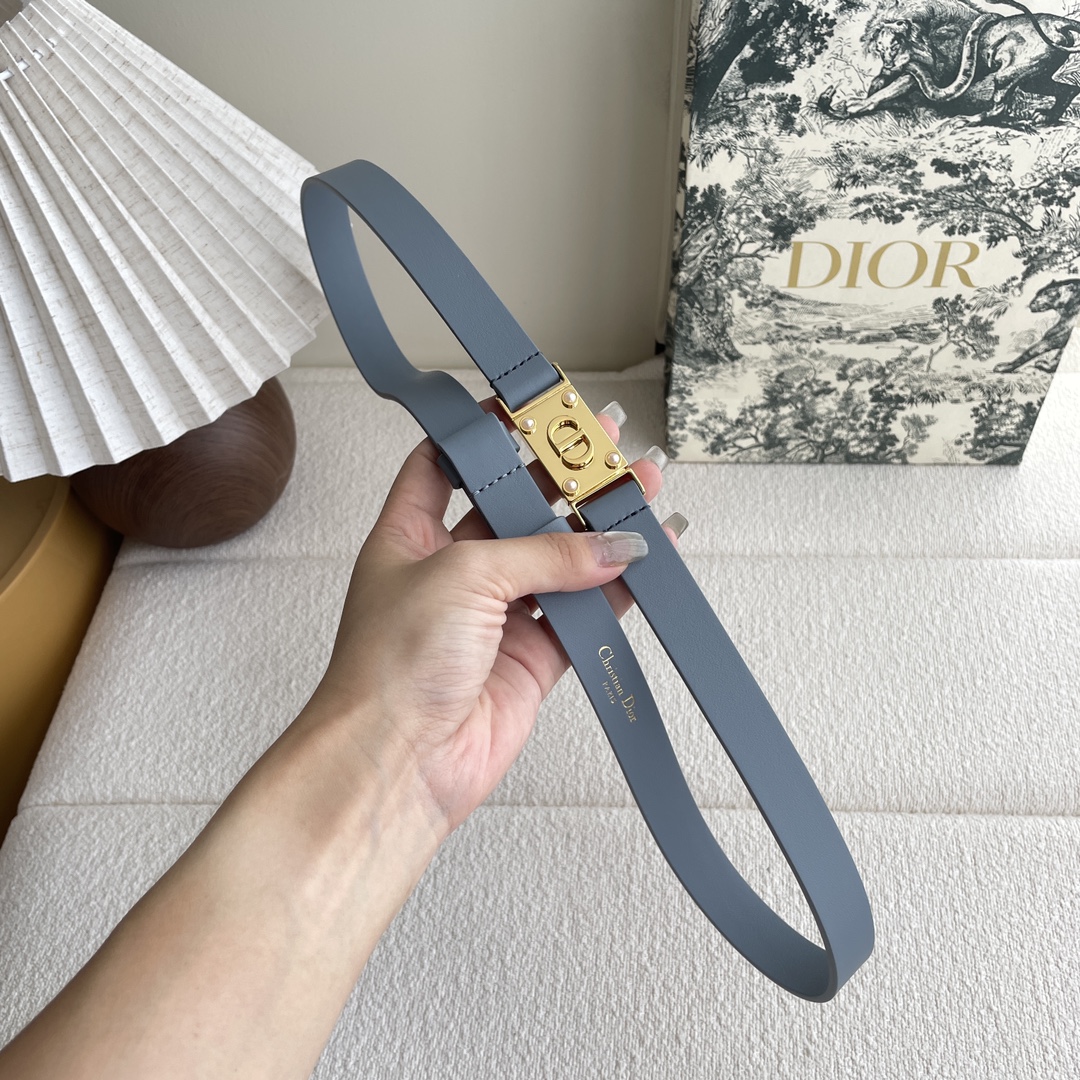 Dior belt