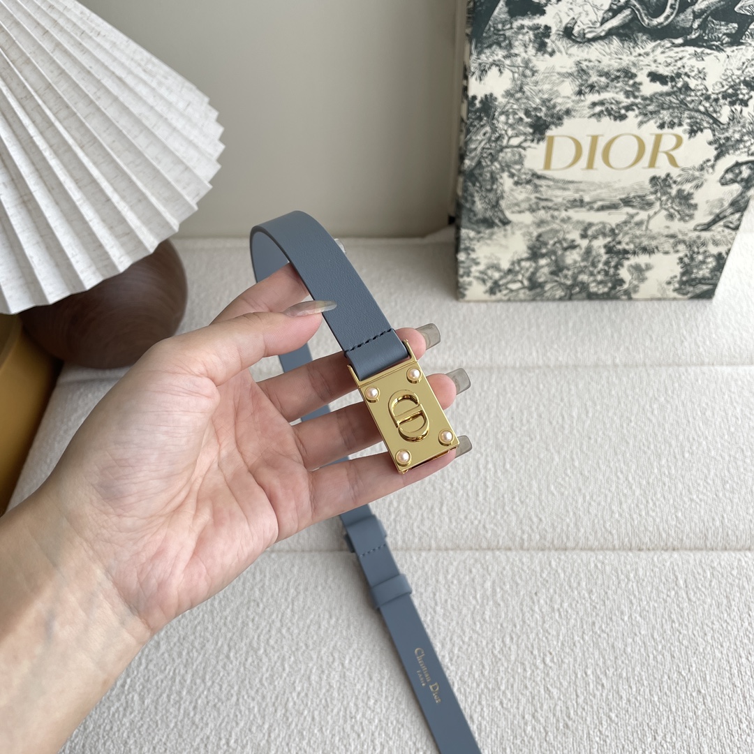 Dior belt