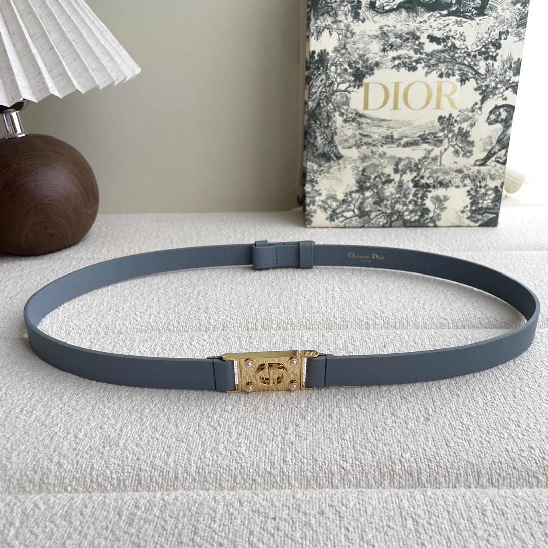 Dior belt