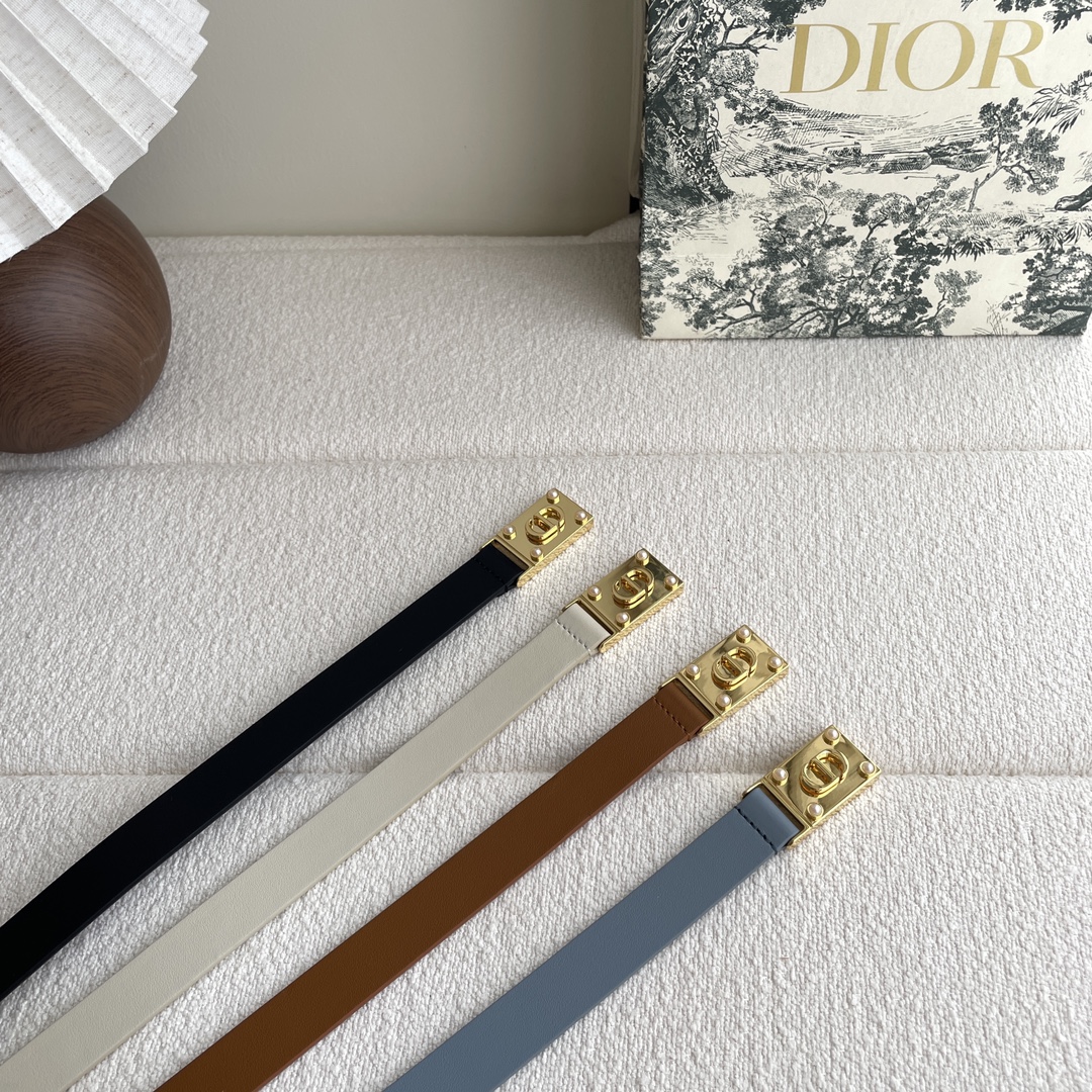 Dior belt