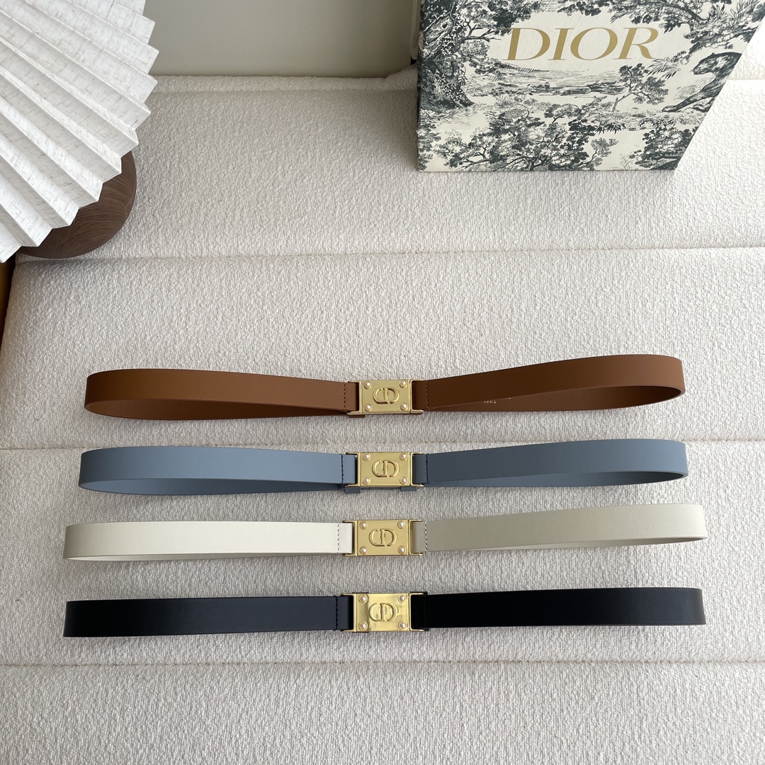 Dior belt