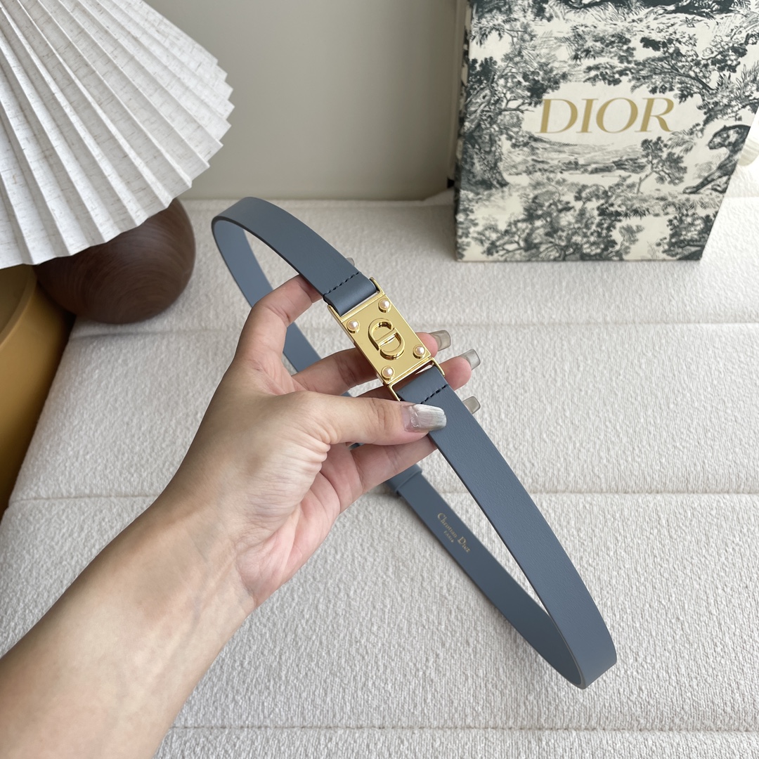 Dior belt