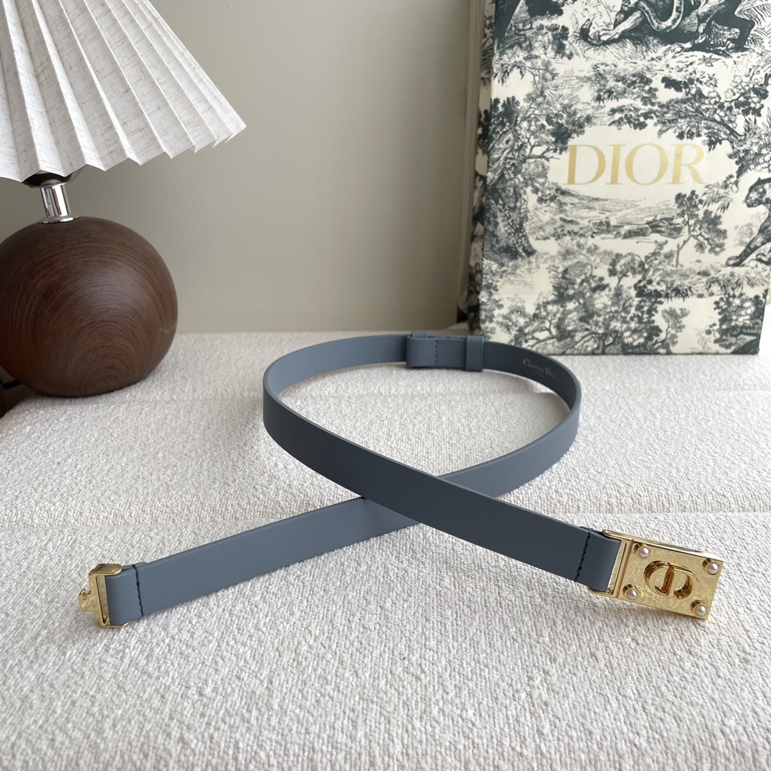 Dior belt