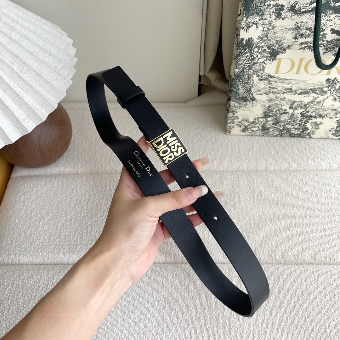 Dior belt