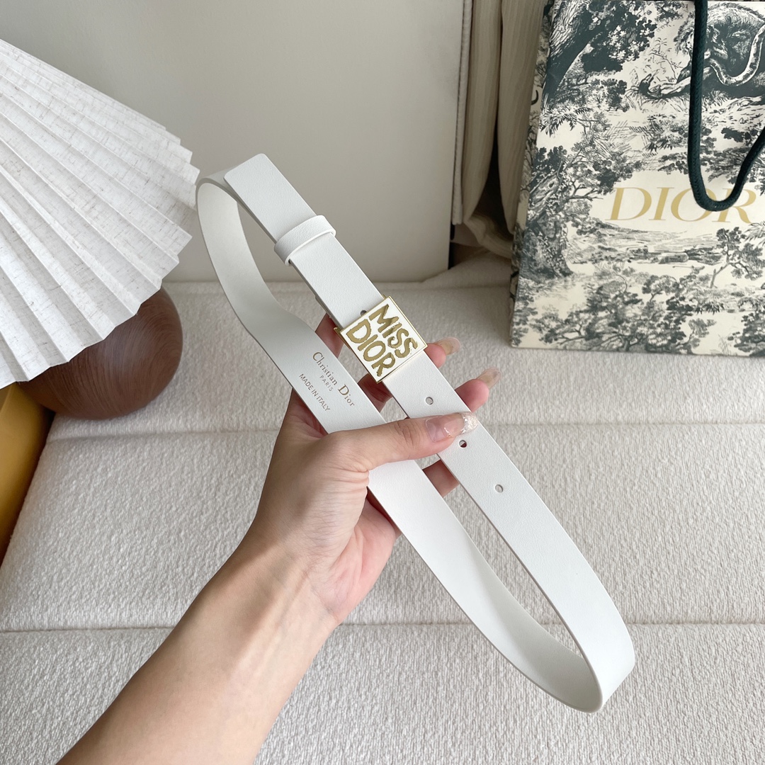 Dior belt