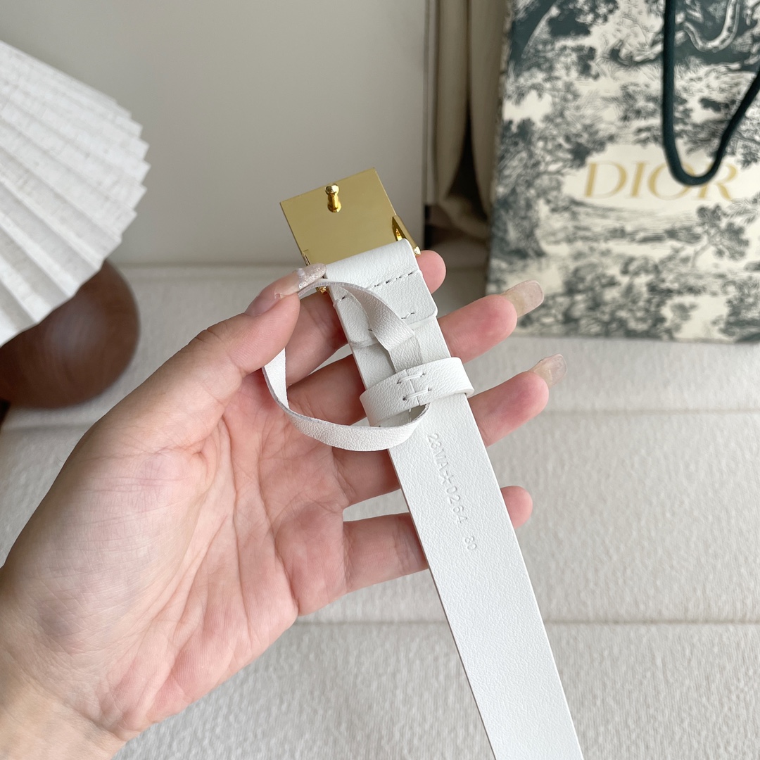 Dior belt