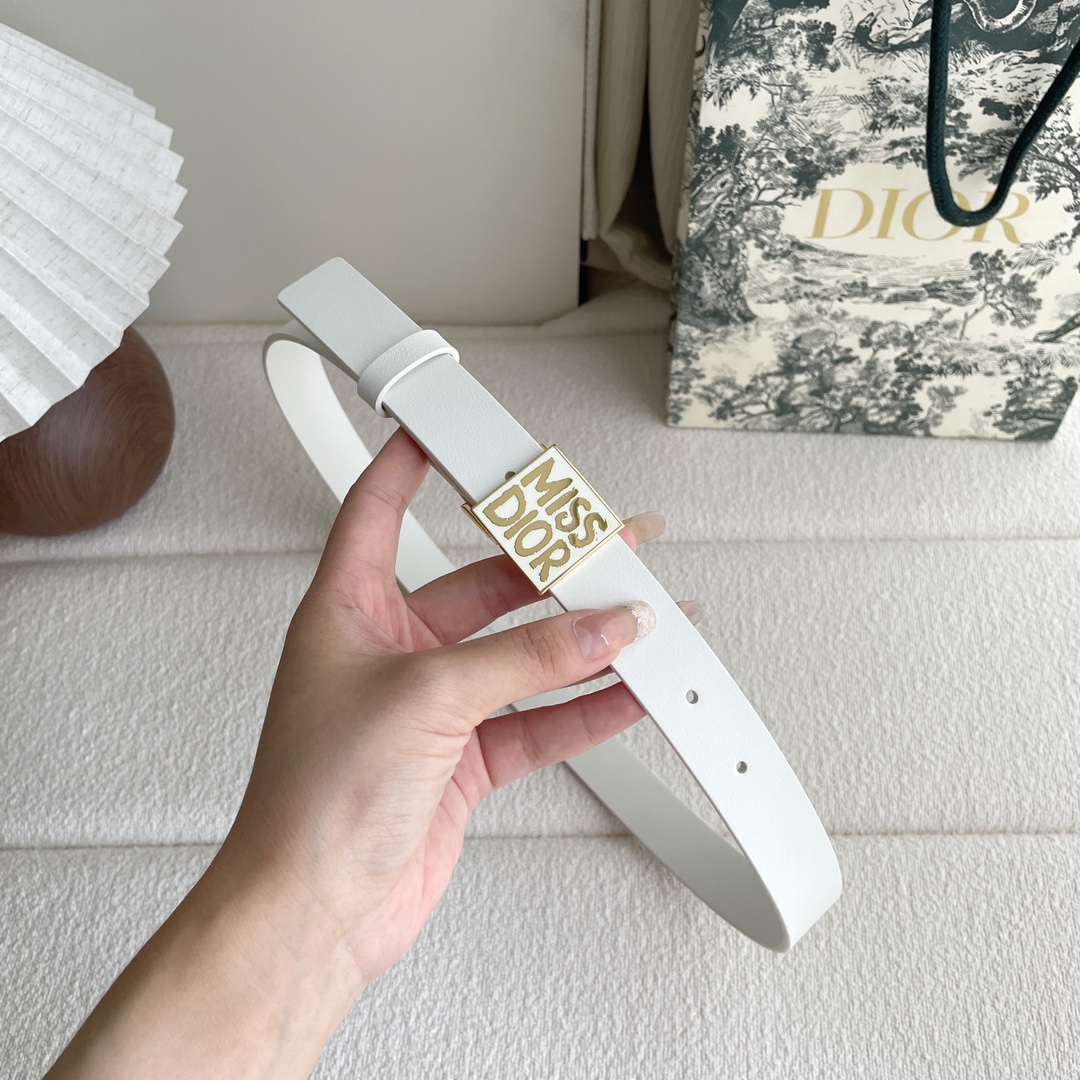Dior belt