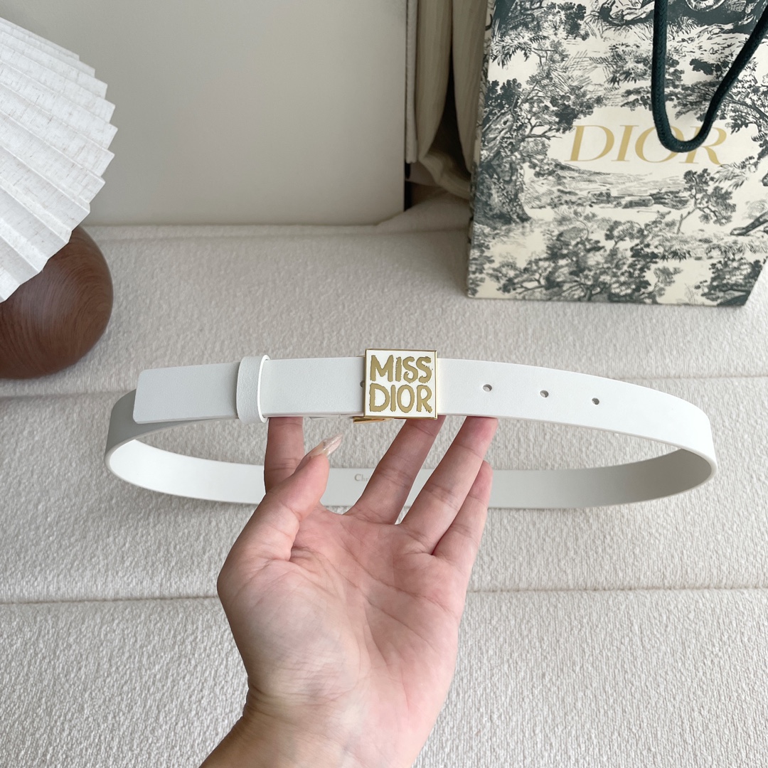 Dior belt