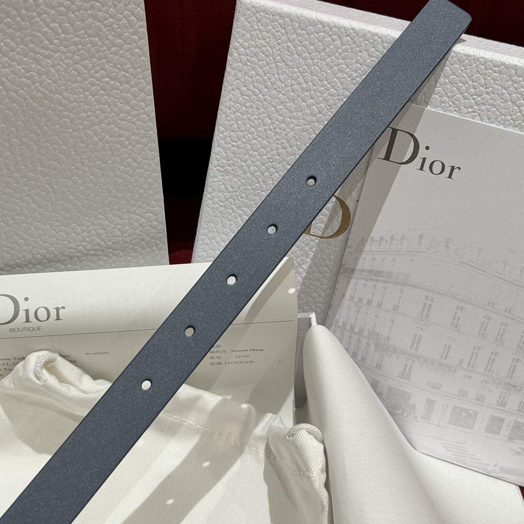 Dior belt