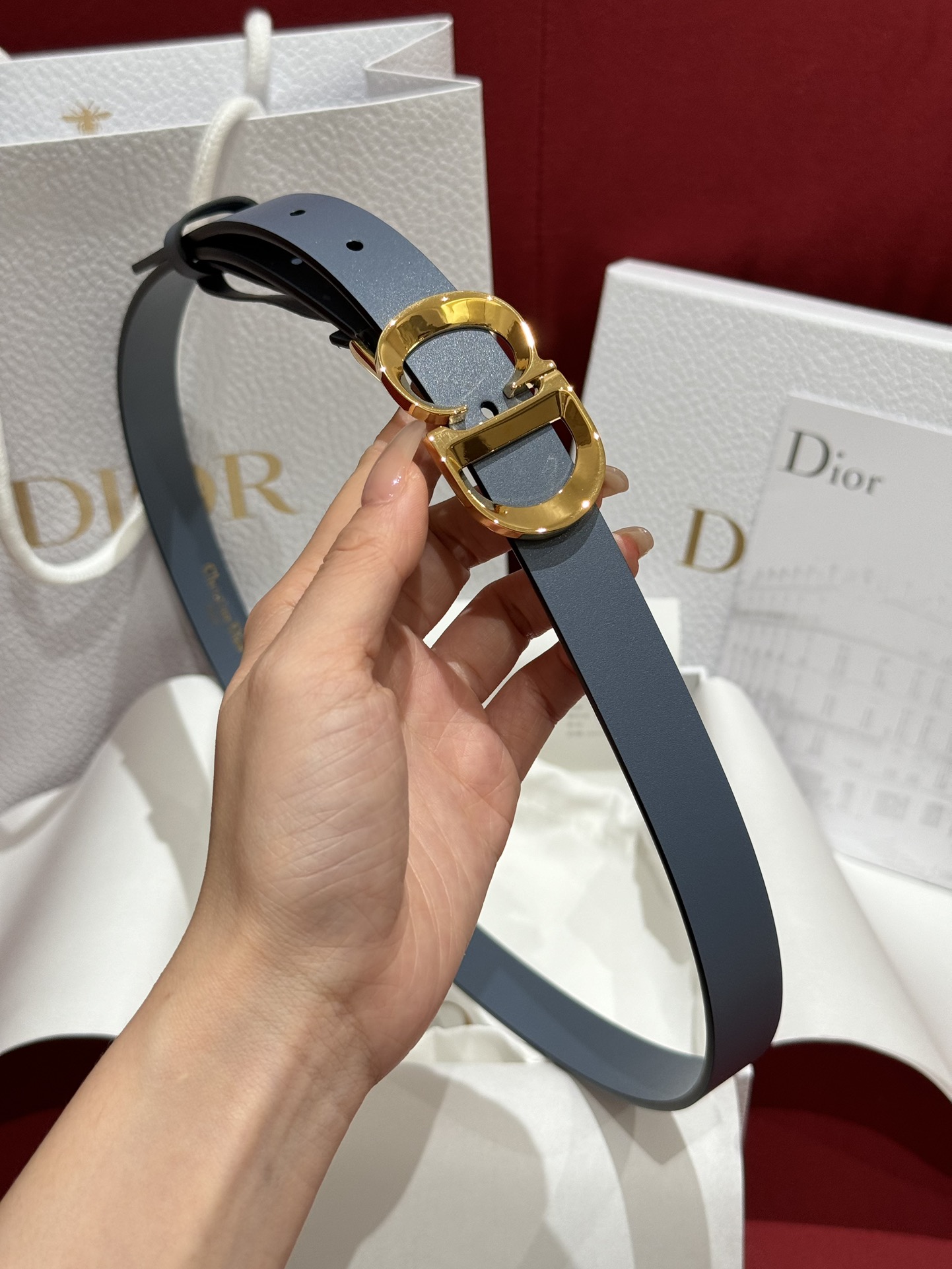 Dior belt