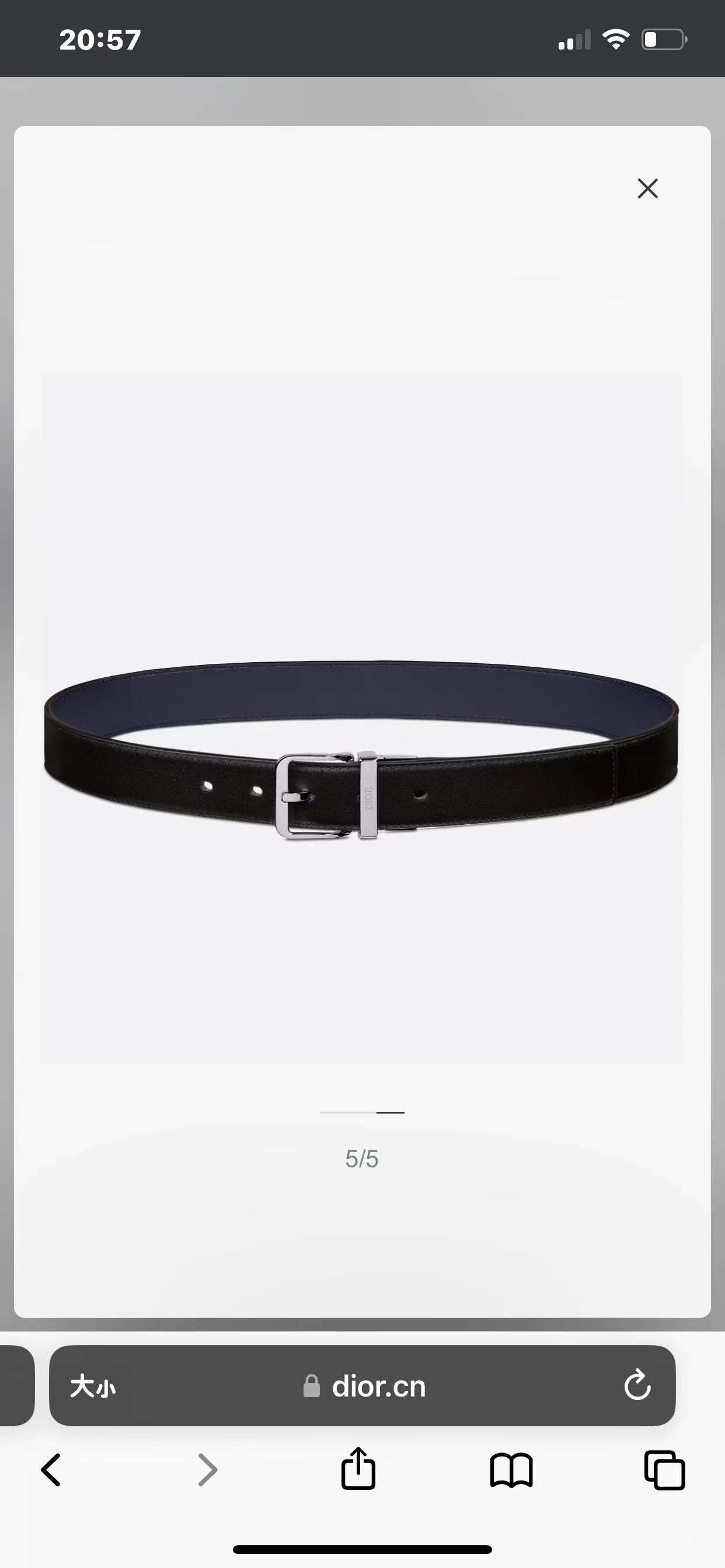 Dior belt
