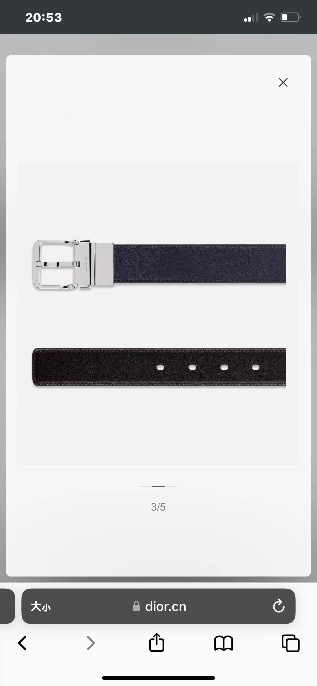 Dior belt