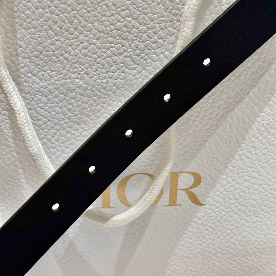Dior belt