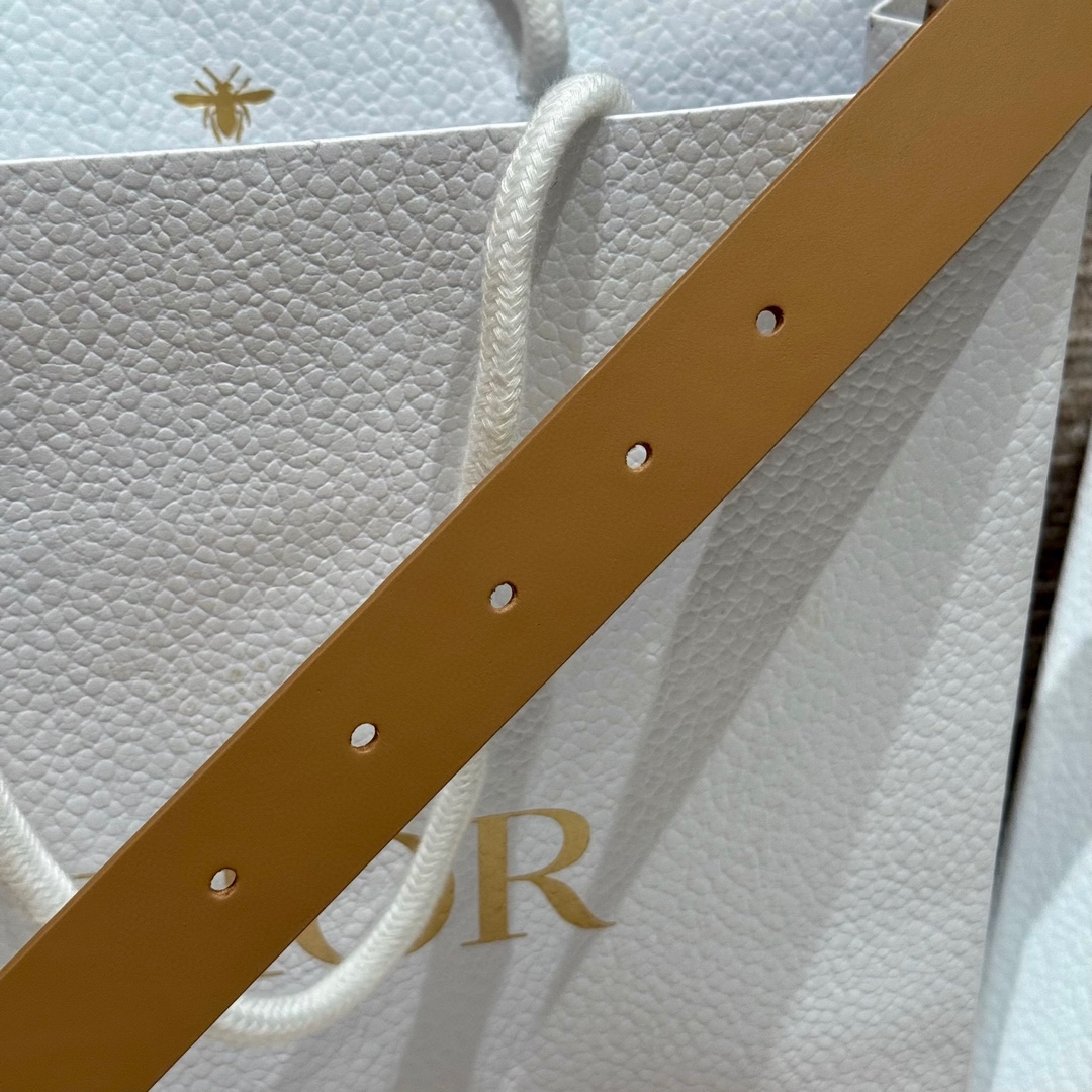 Dior belt