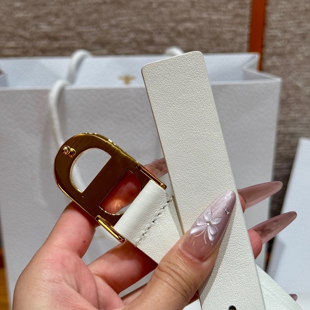Dior belt