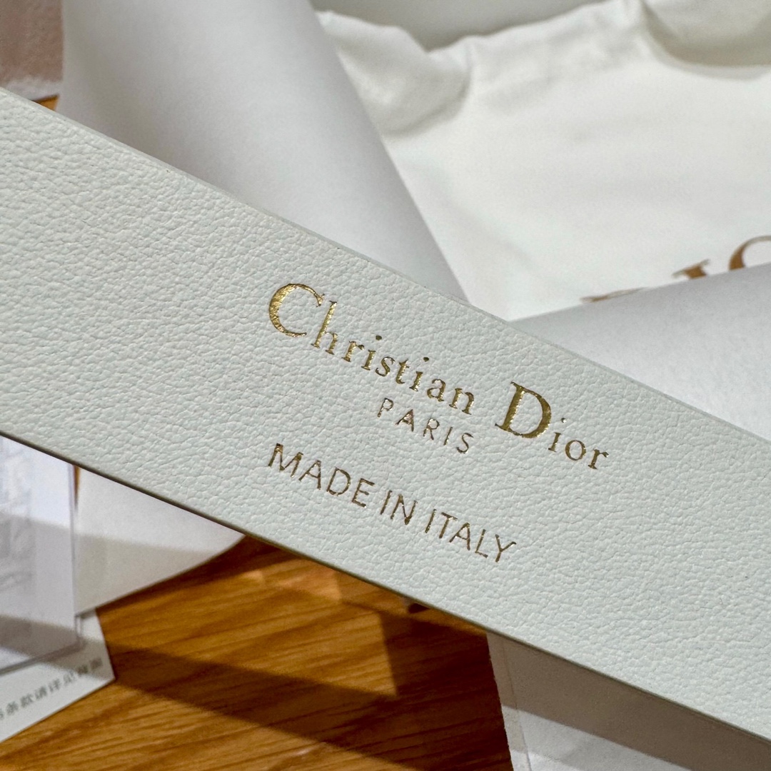 Dior belt