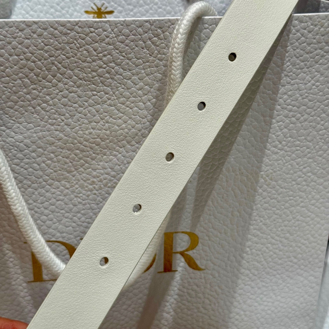 Dior belt