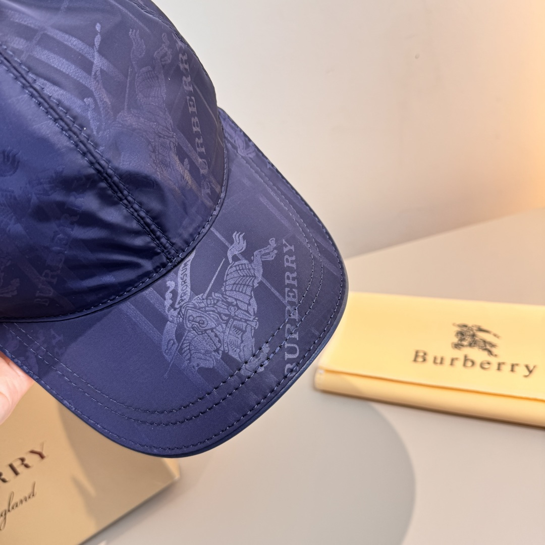 Burberry hat