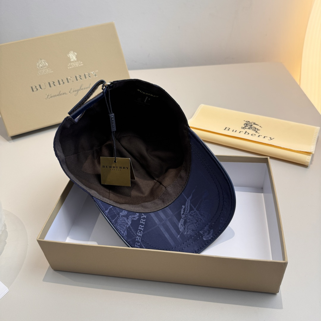 Burberry hat
