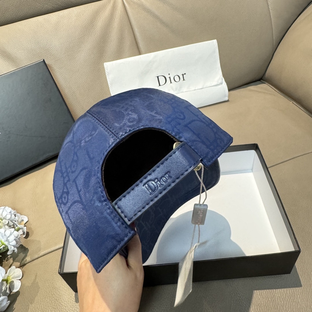 Dior hat