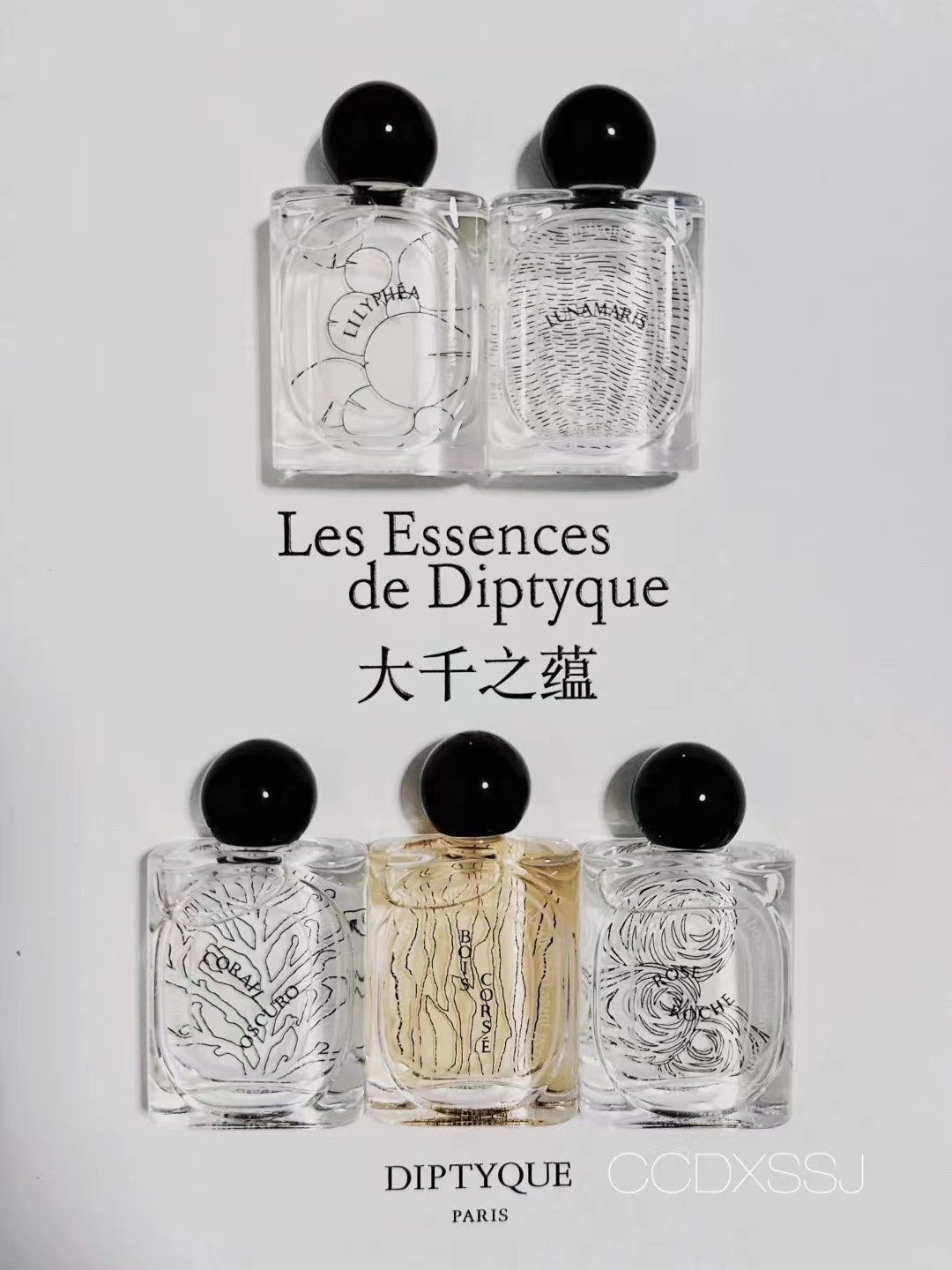 Tiptie perfume