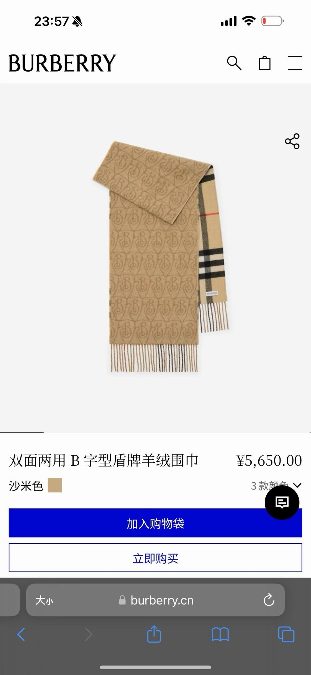 Burberry scarf