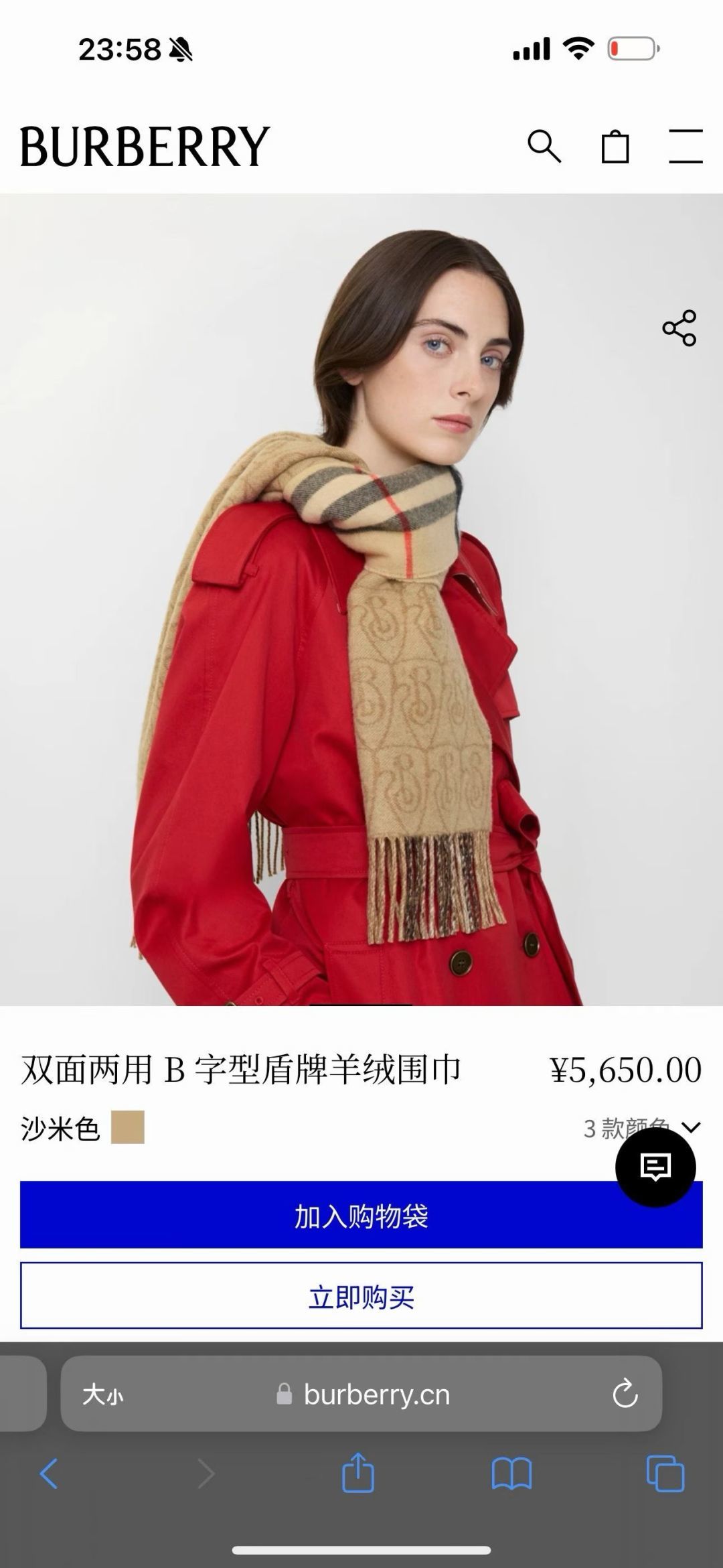 Burberry scarf