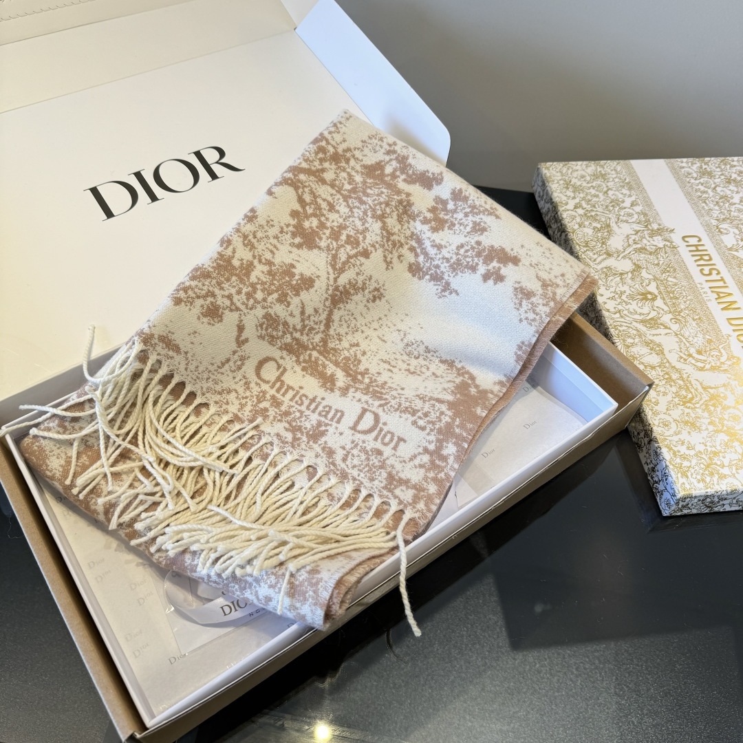 Dior scarf