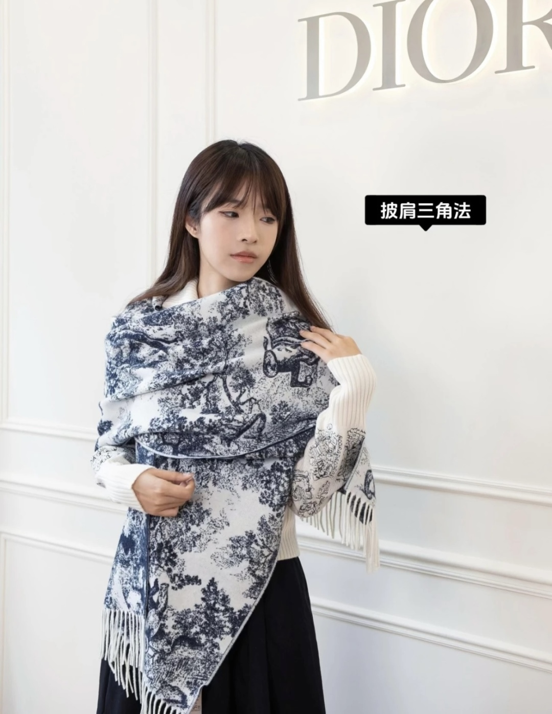 Dior scarf