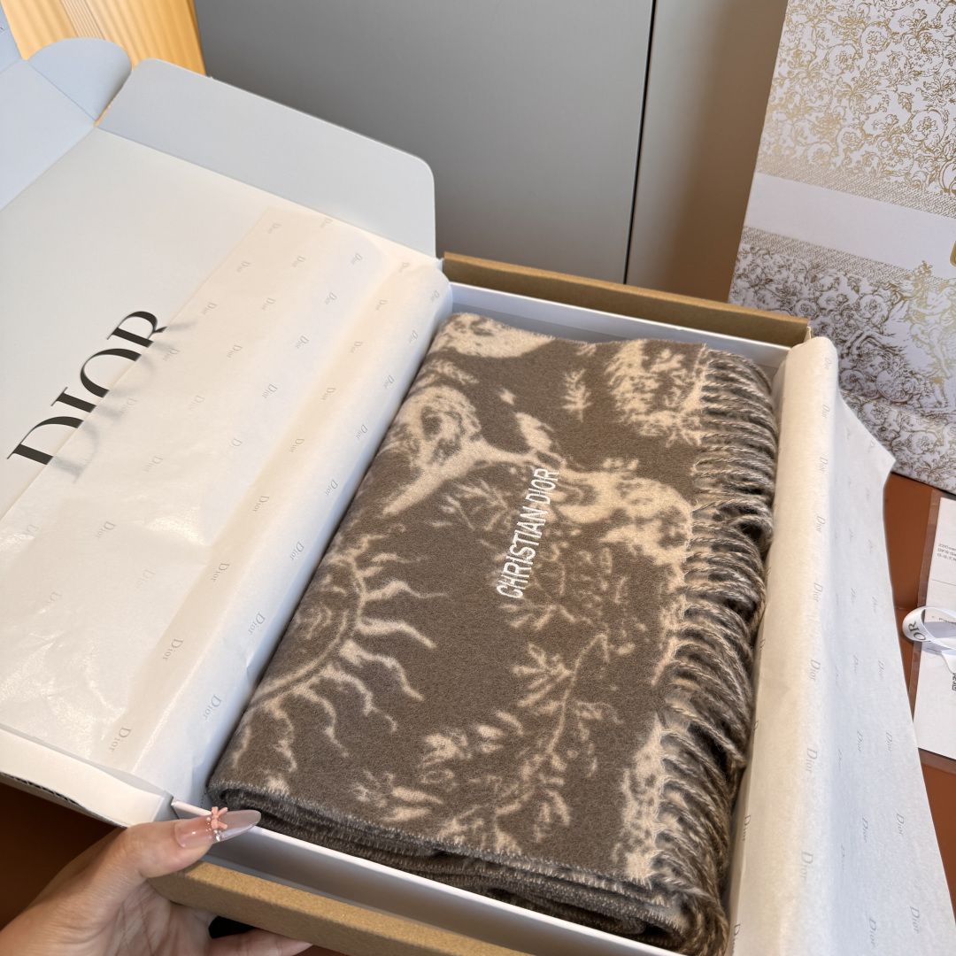 Dior scarf
