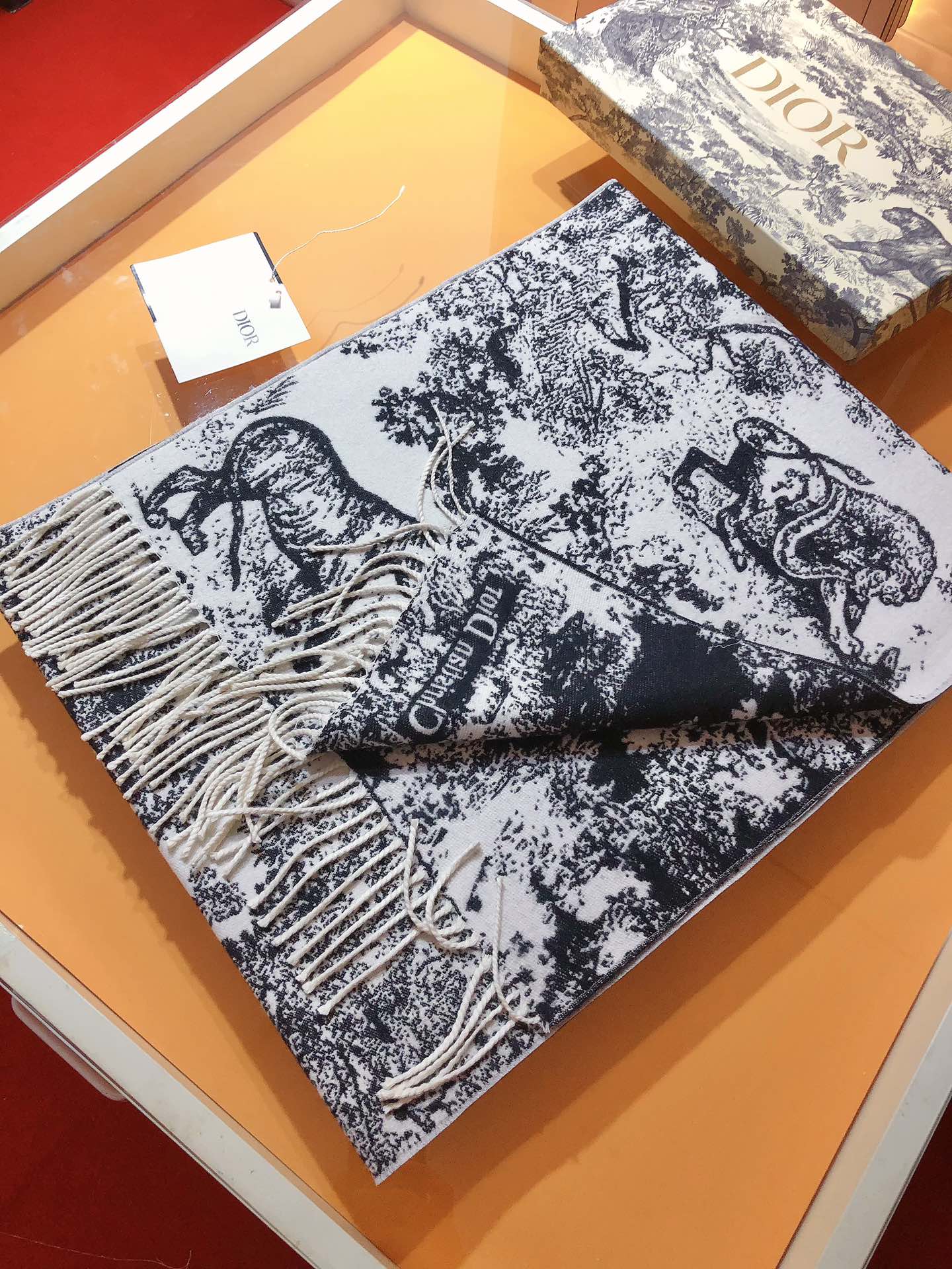 Dior scarf