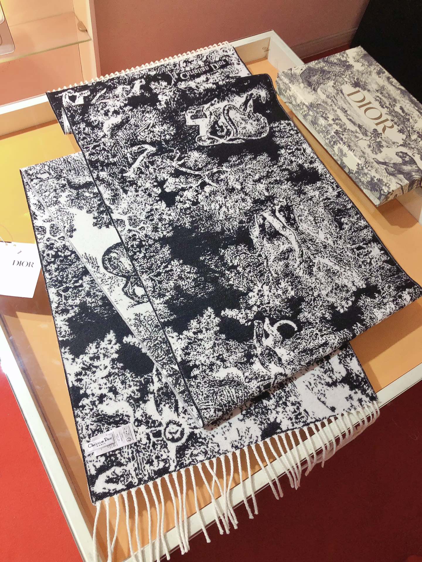 Dior scarf