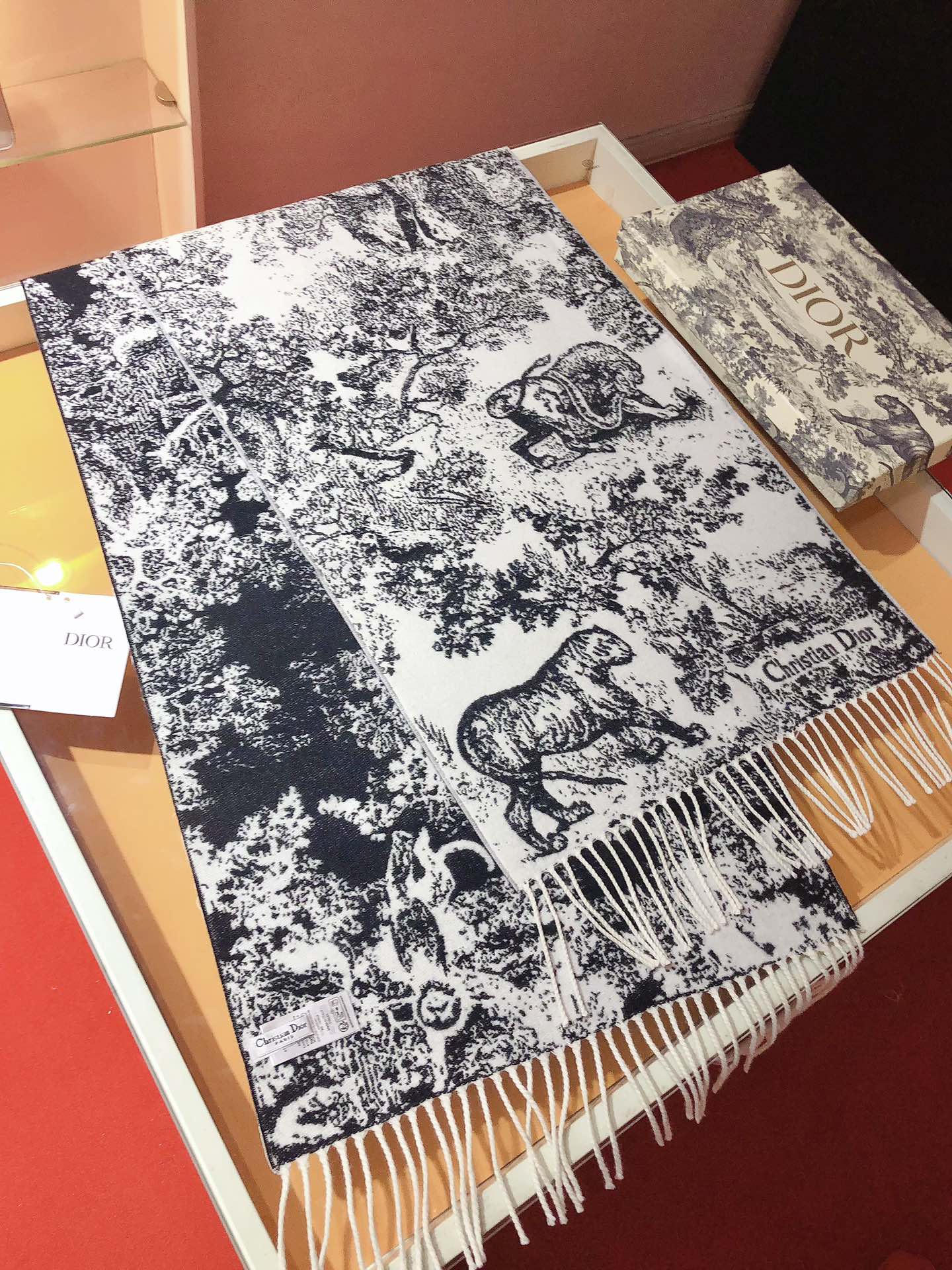 Dior scarf