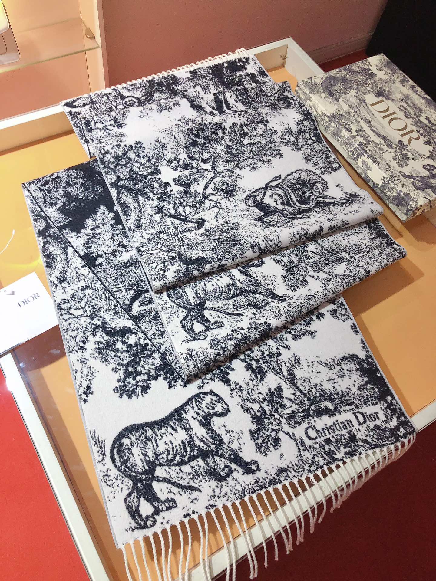 Dior scarf