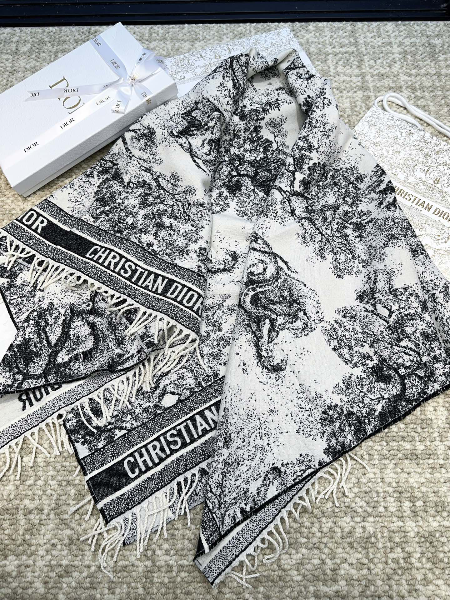 Dior scarf
