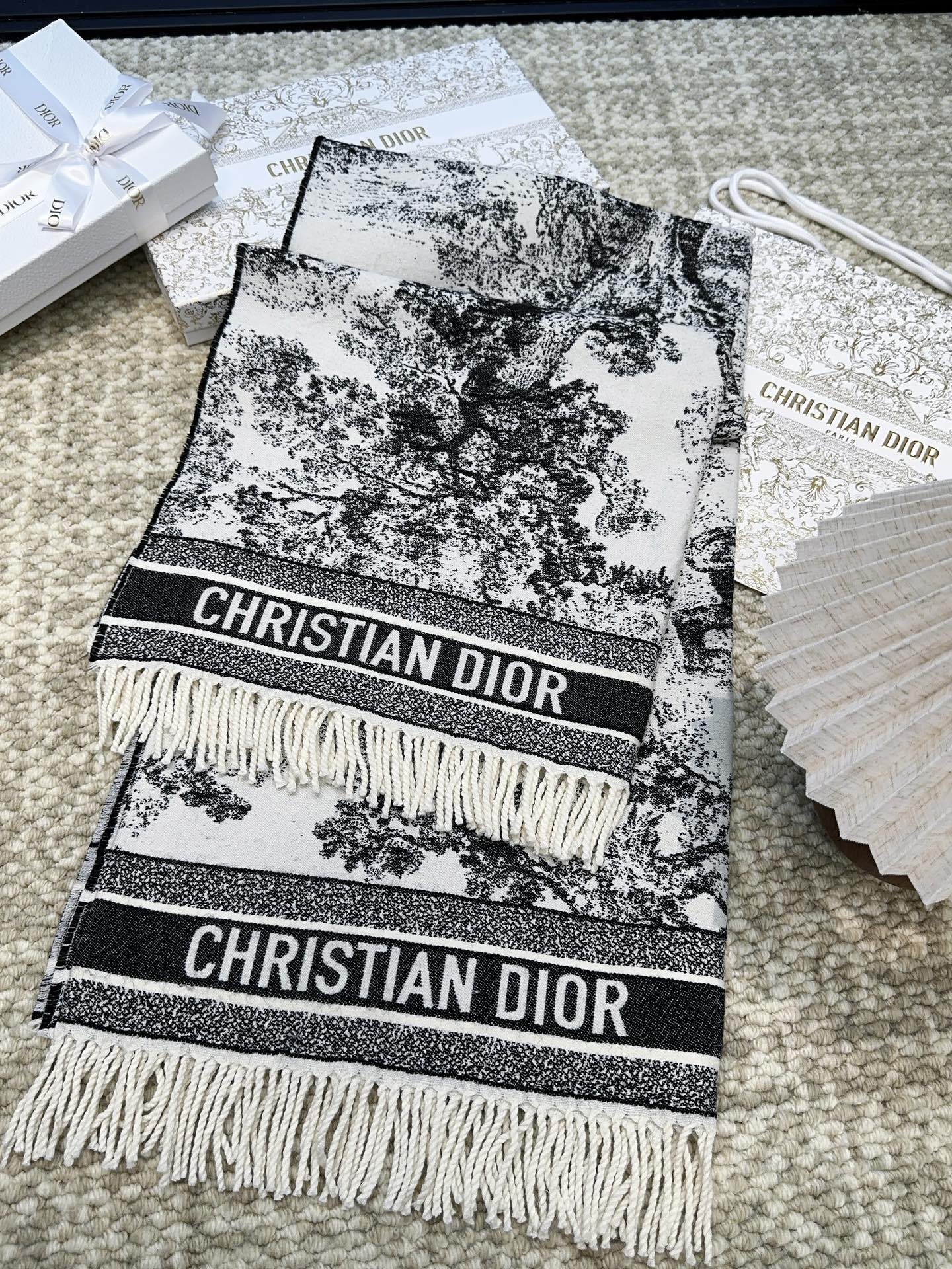 Dior scarf