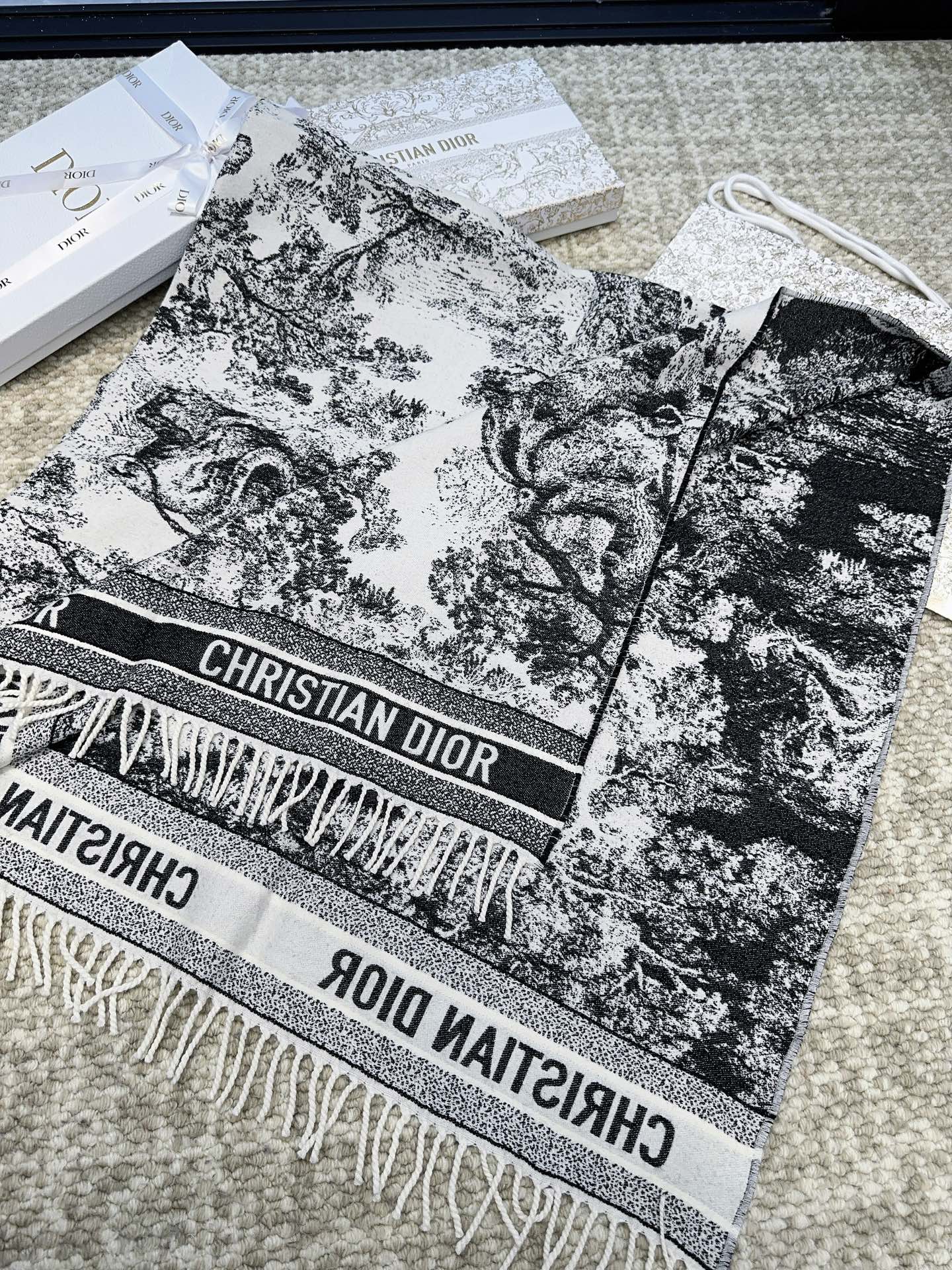 Dior scarf