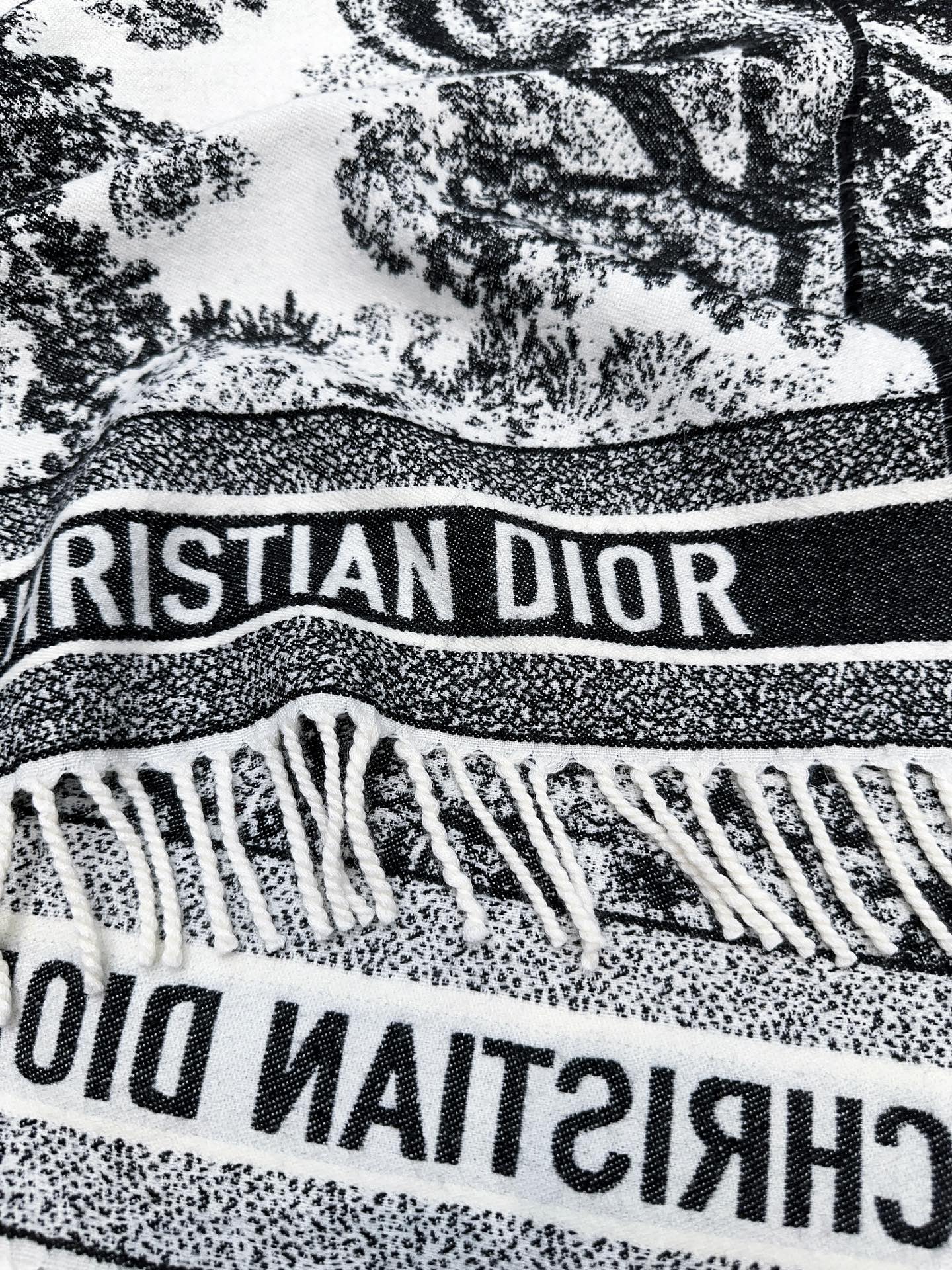 Dior scarf