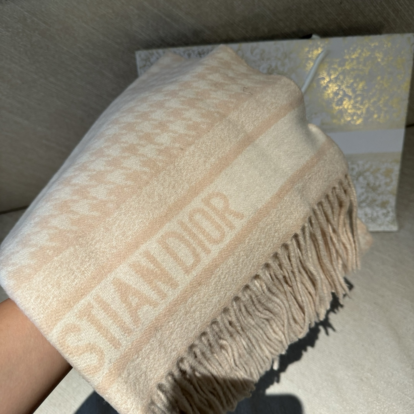 Dior scarf
