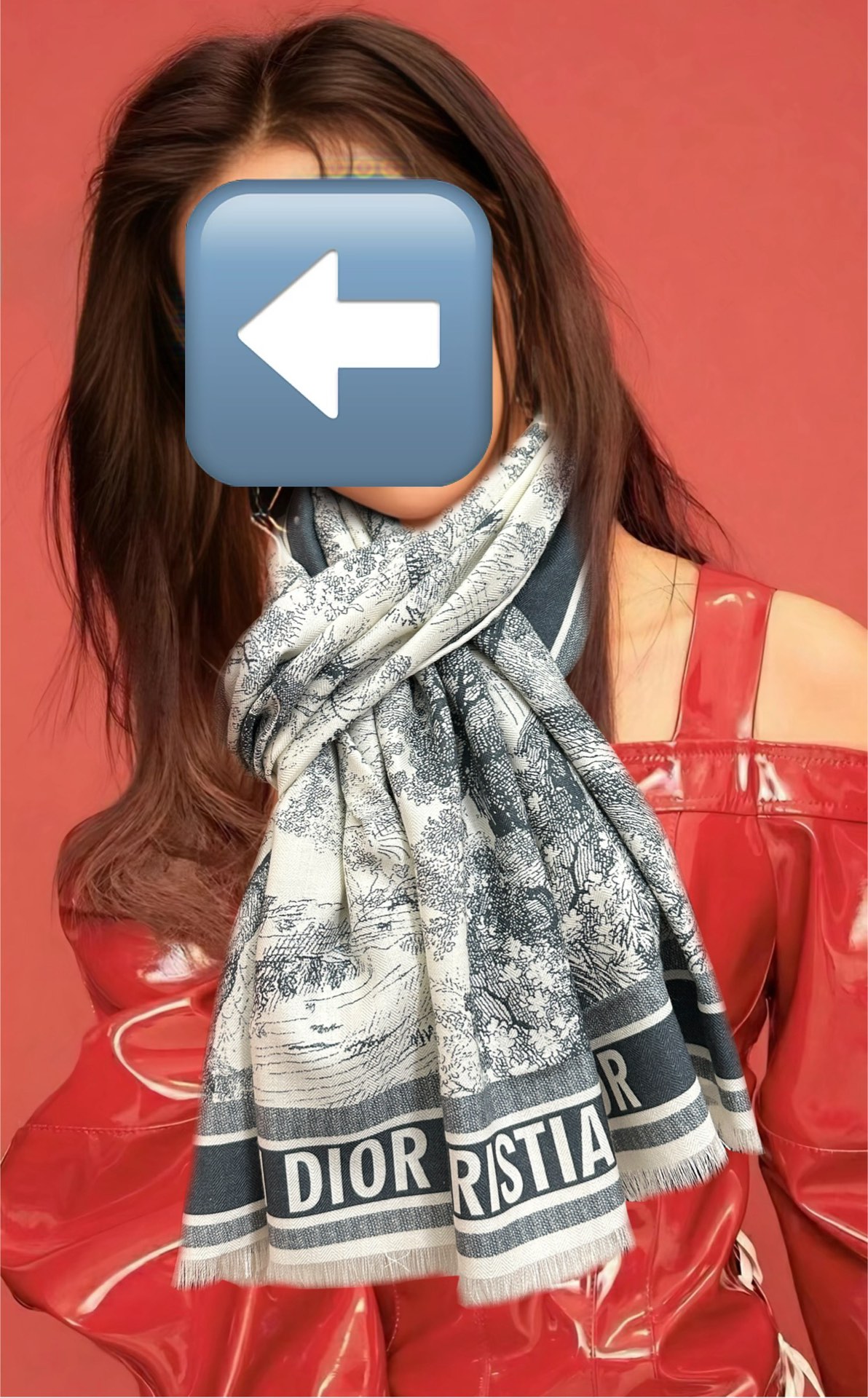 Dior scarf
