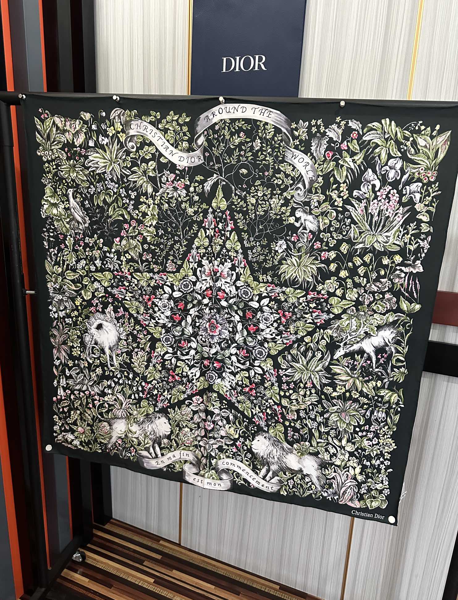 Dior scarf