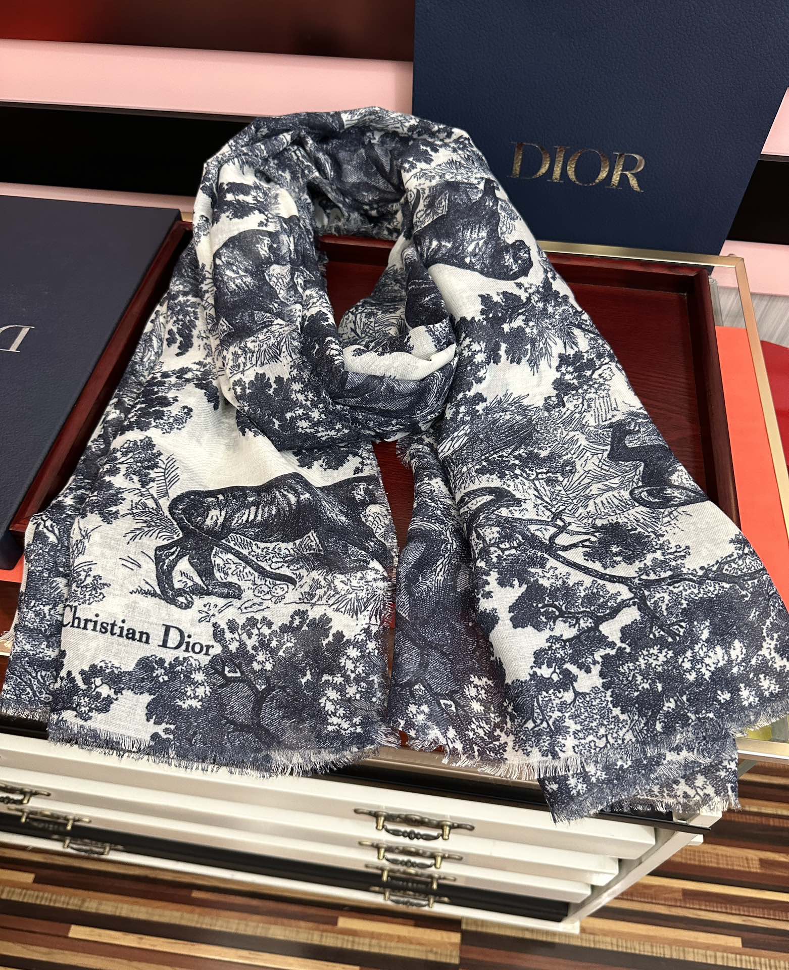 Dior scarf