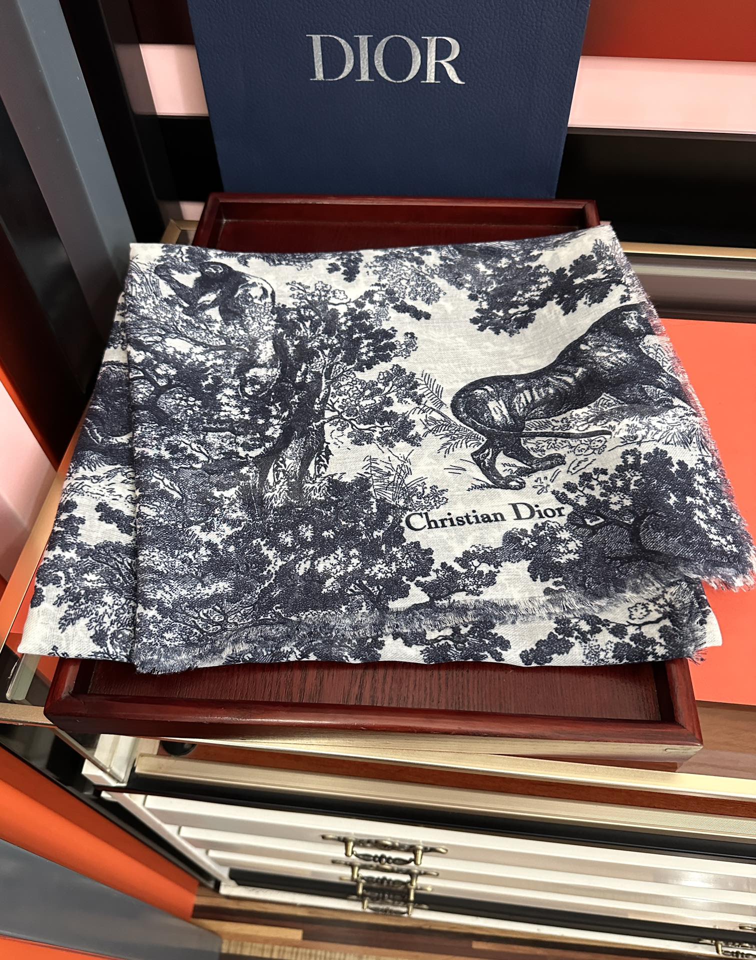 Dior scarf
